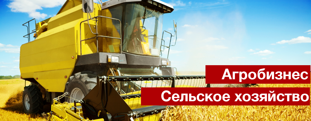 Виберіть місто